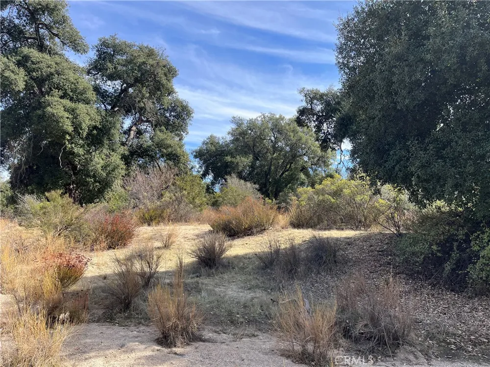 35010 Willow Creek Rd. Hemet, CA 92544