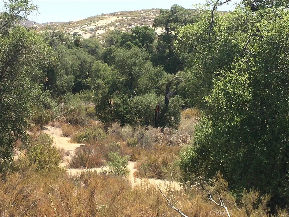 35010 Willow Creek Rd. Hemet, CA 92544
