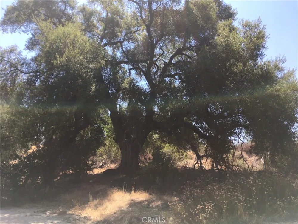 35010 Willow Creek Rd. Hemet, CA 92544