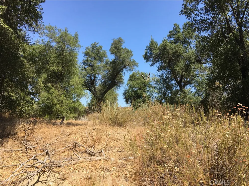 35010 Willow Creek Rd. Hemet, CA 92544