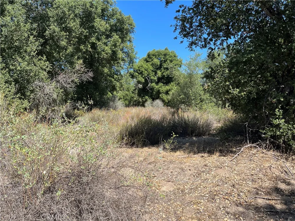 35010 Willow Creek Rd. Hemet, CA 92544