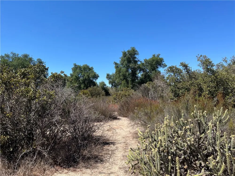 35010 Willow Creek Rd. Hemet, CA 92544