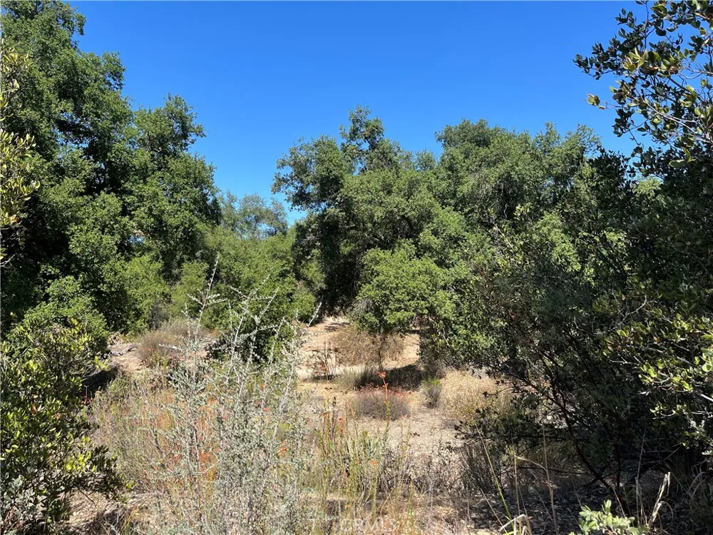 35010 Willow Creek Rd. Hemet, CA 92544