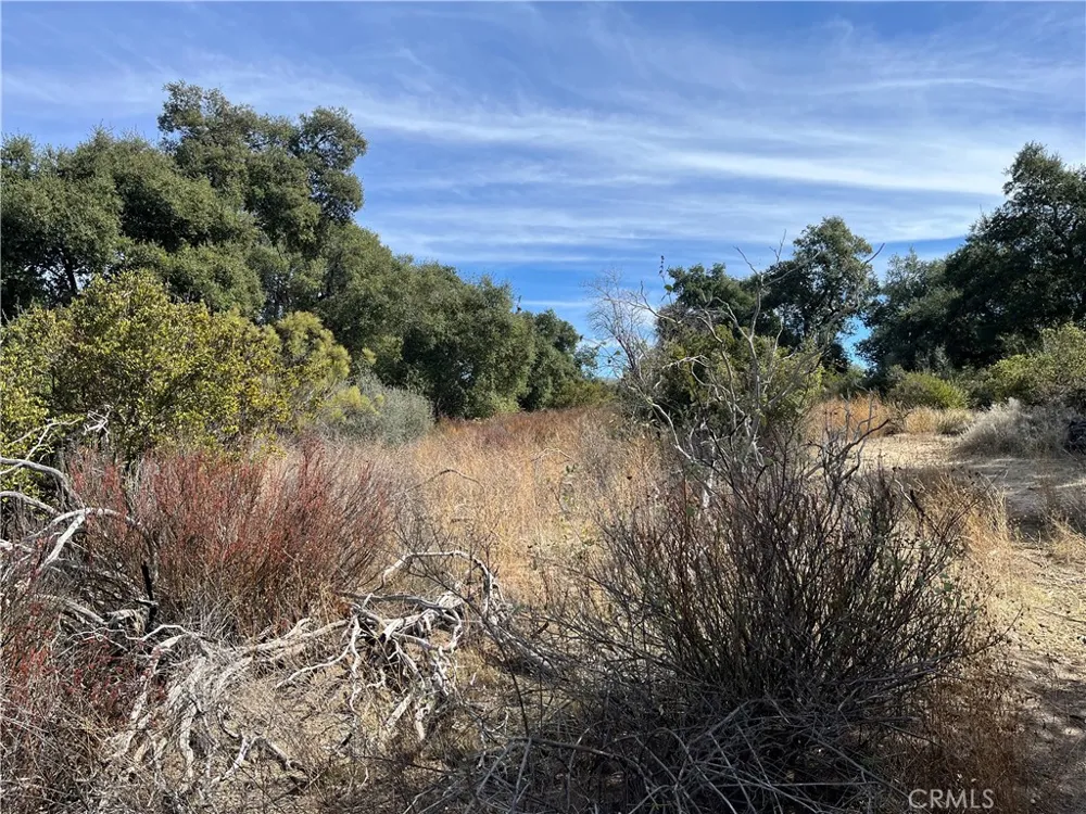 35010 Willow Creek Rd. Hemet, CA 92544