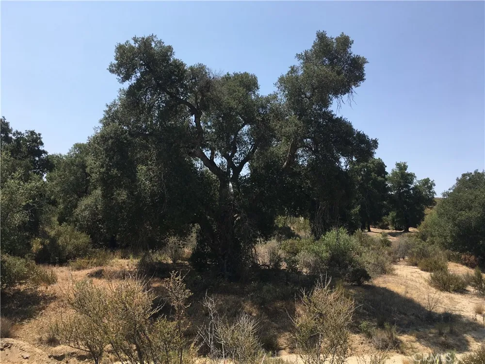 35010 Willow Creek Rd. Hemet, CA 92544