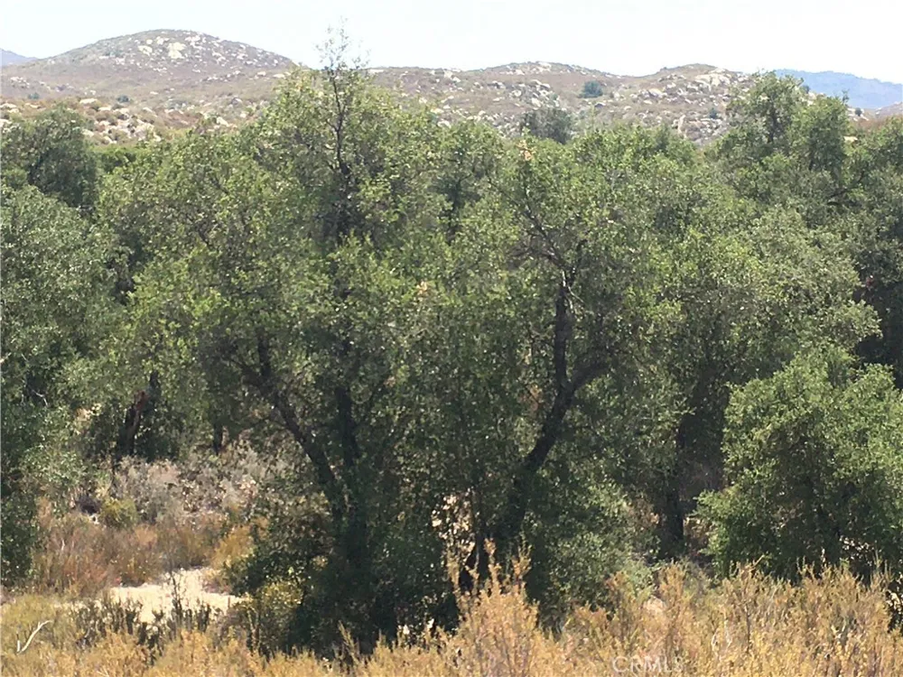 35010 Willow Creek Rd. Hemet, CA 92544