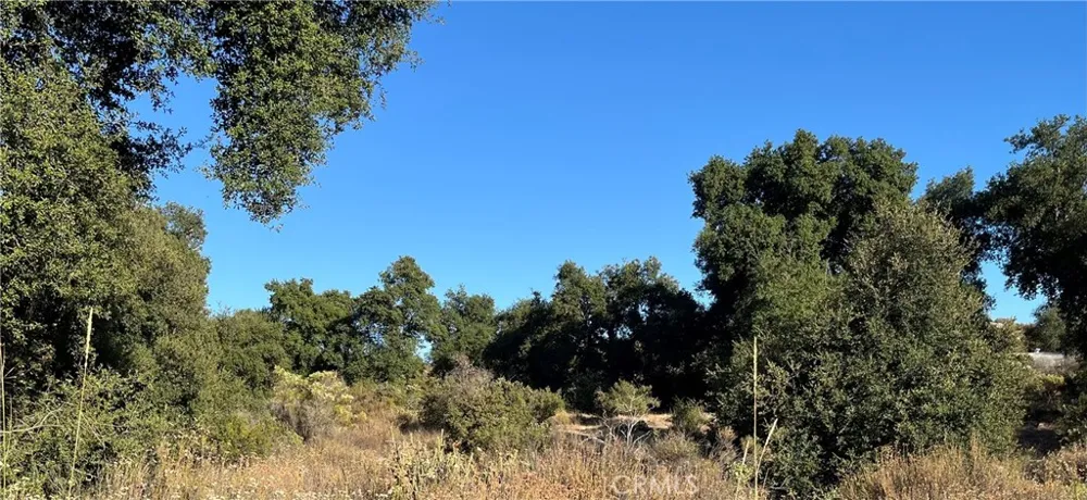 35010 Willow Creek Rd. Hemet, CA 92544