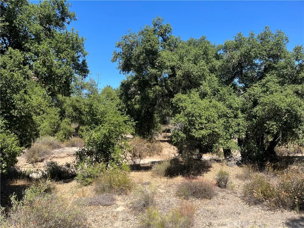 35010 Willow Creek Rd. Hemet, CA 92544