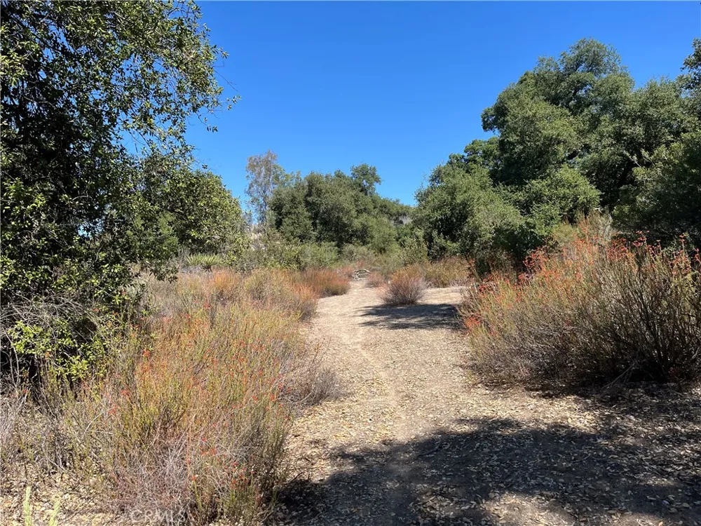 35010 Willow Creek Rd. Hemet, CA 92544