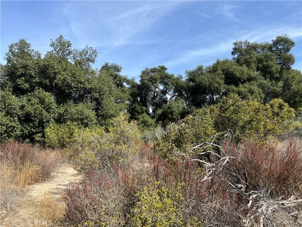35010 Willow Creek Rd. Hemet, CA 92544