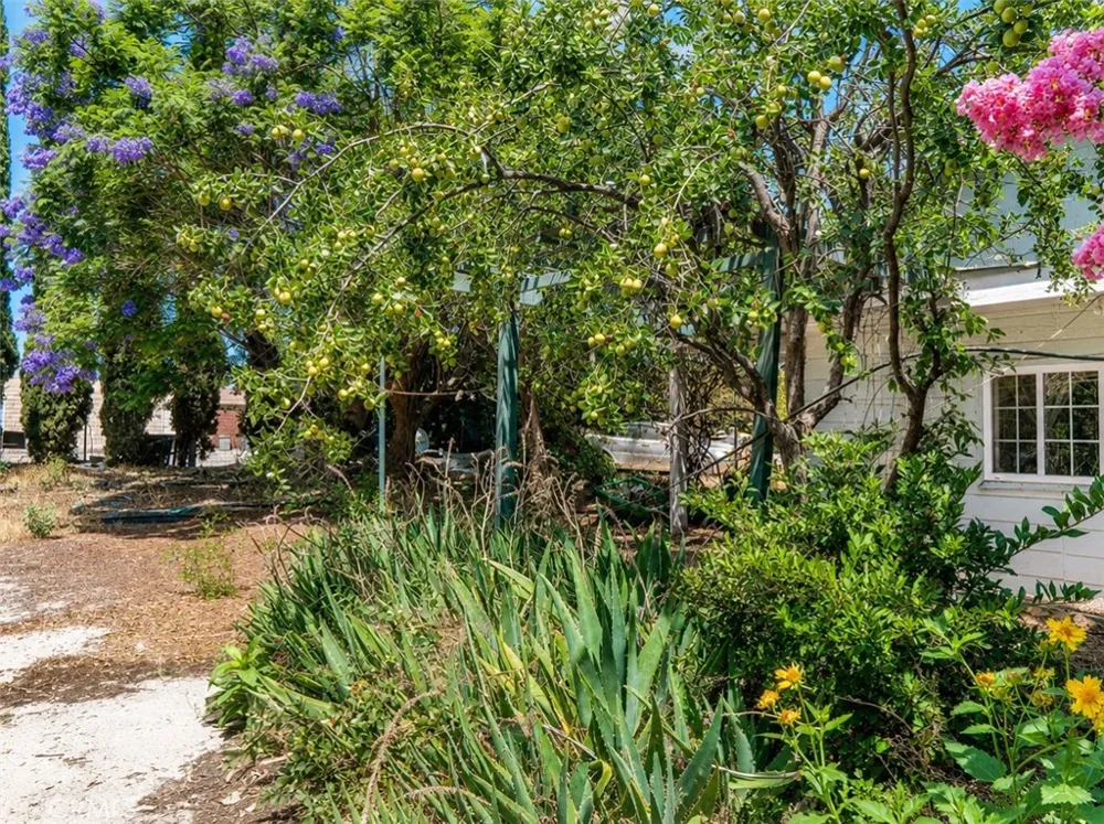 3843 Francis Avenue Chino, CA 91710