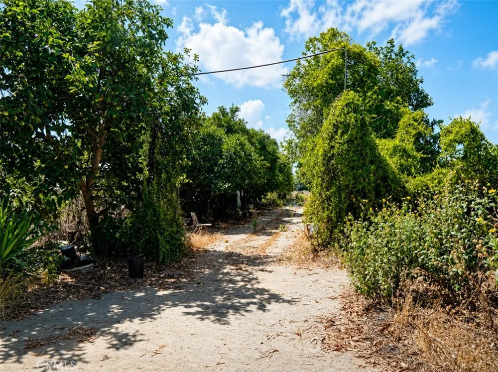 3843 Francis Avenue Chino, CA 91710