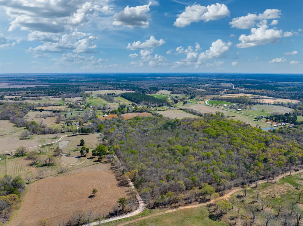 48 County Road 2360 Bagwell, TX 75412