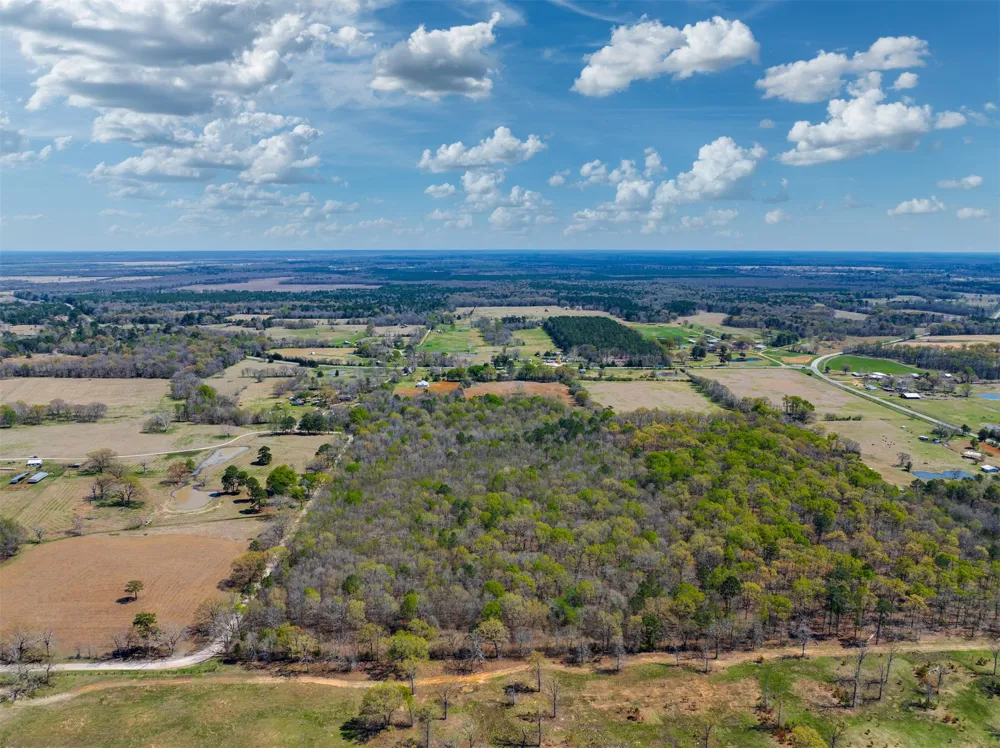 48 County Road 2360 Bagwell, TX 75412