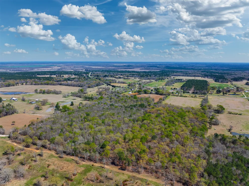 48 County Road 2360 Bagwell, TX 75412