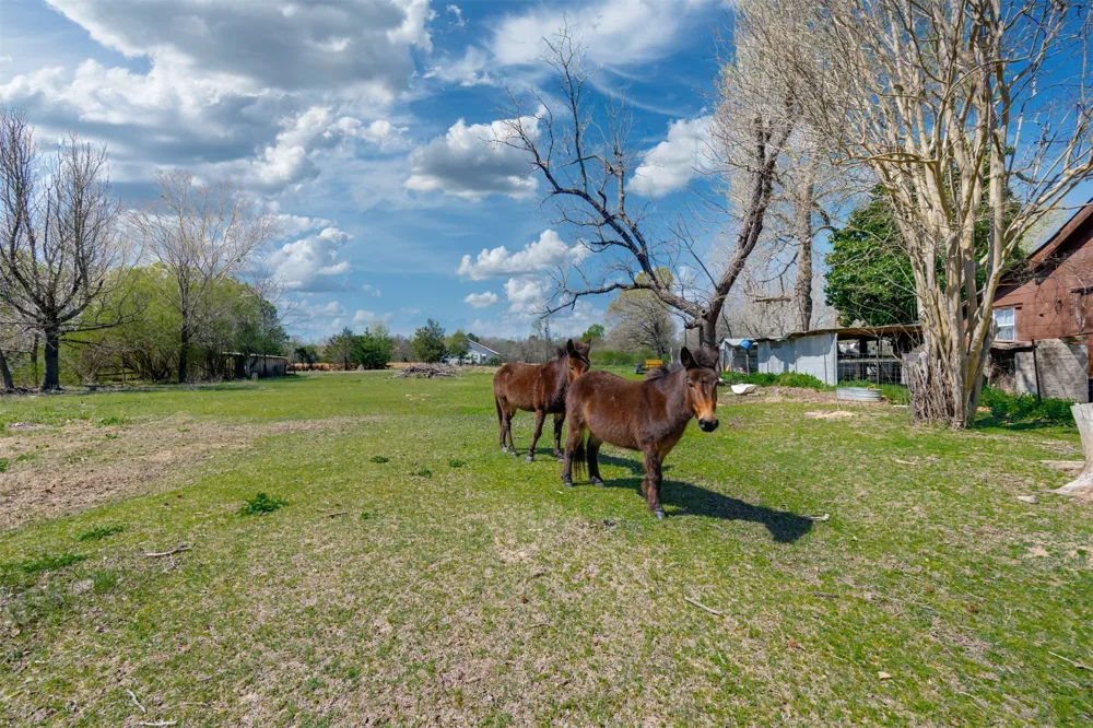 48 County Road 2360 Bagwell, TX 75412