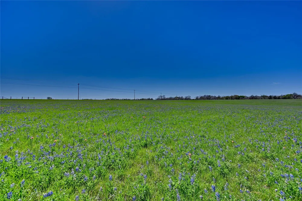 Fm 2 Navasota, TX 77868
