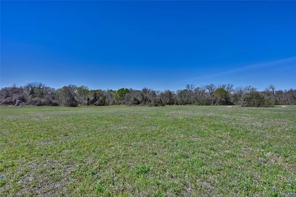 Fm 2 Navasota, TX 77868