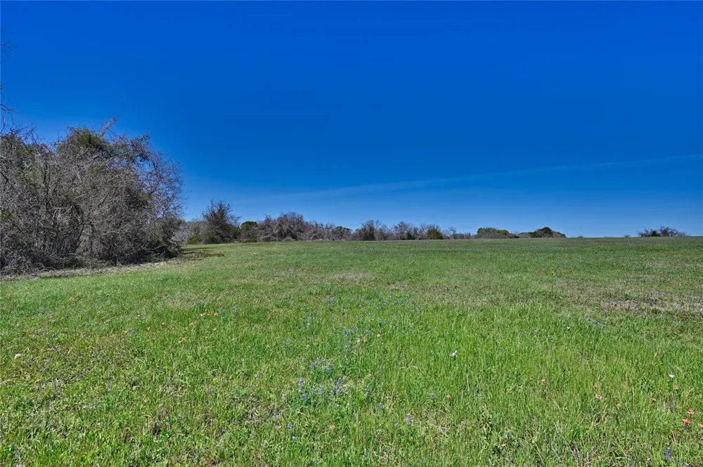 Fm 2 Navasota, TX 77868