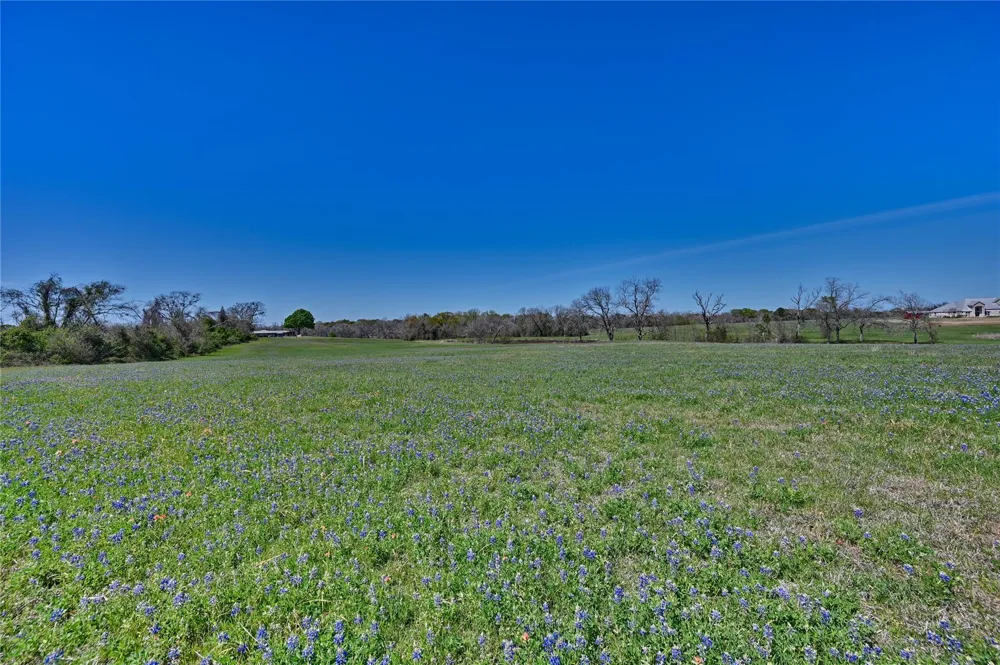 Fm 2 Navasota, TX 77868