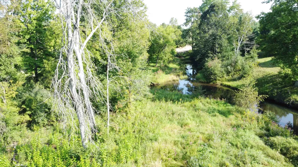 Jonathan Court West Branch Township, MI 48661