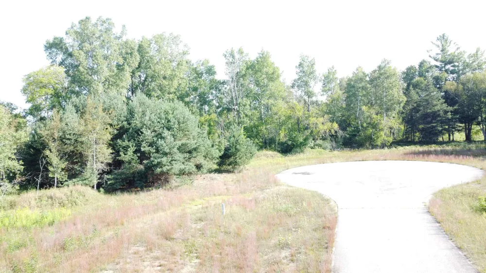 Jonathan Court West Branch Township, MI 48661