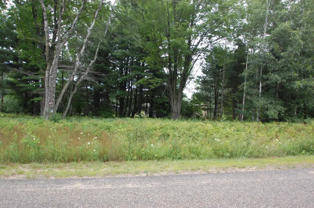 Crawford Street West Branch Township, MI 48661