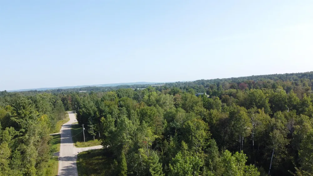 Arthur Court West Branch Township, MI 48661