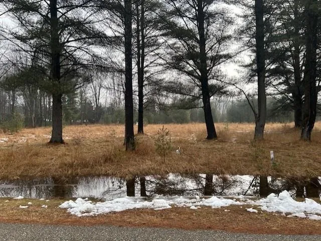 Manning Lane Baldwin Township, MI 48730