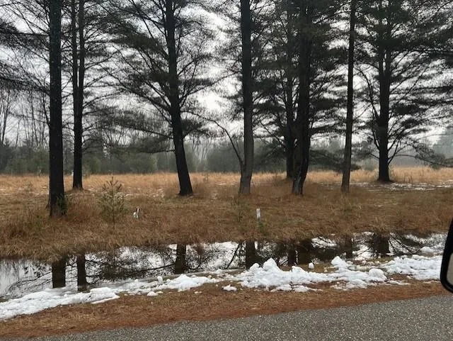 Manning Lane Baldwin Township, MI 48730