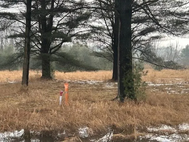 Manning Lane Baldwin Township, MI 48730