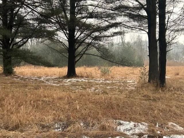 Manning Lane Baldwin Township, MI 48730