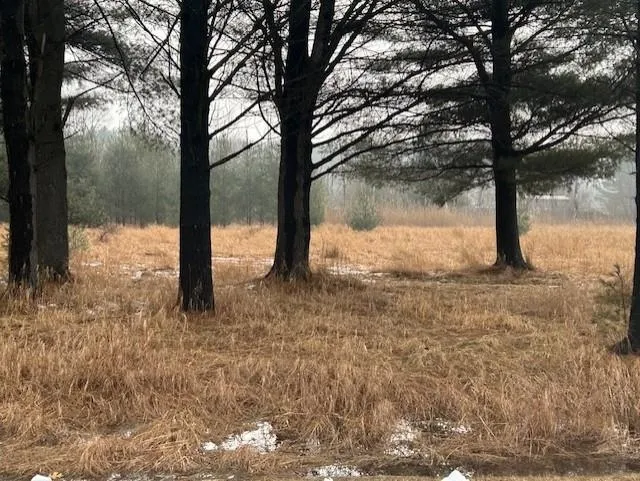 Manning Lane Baldwin Township, MI 48730