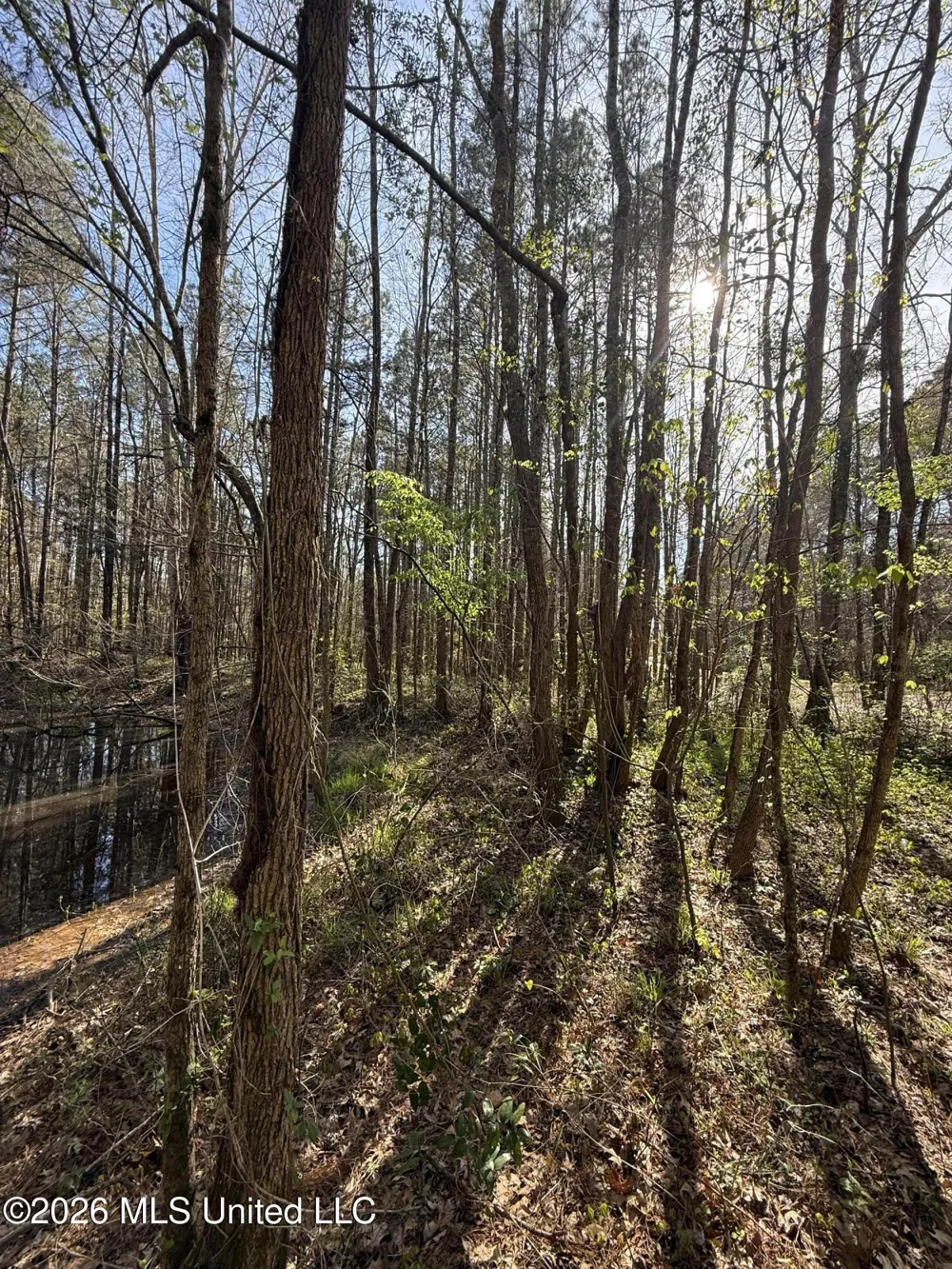 0 Ms-13 Lena, MS 39094