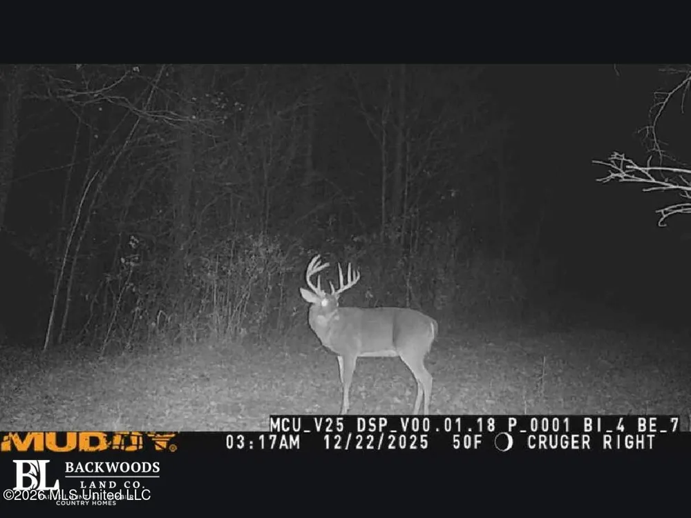00 Philips Road Cruger, MS 38924