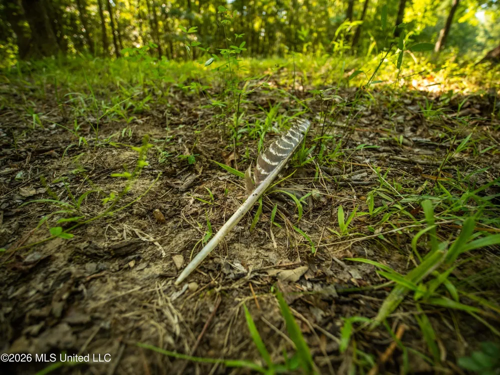 00 Philips Road Cruger, MS 38924