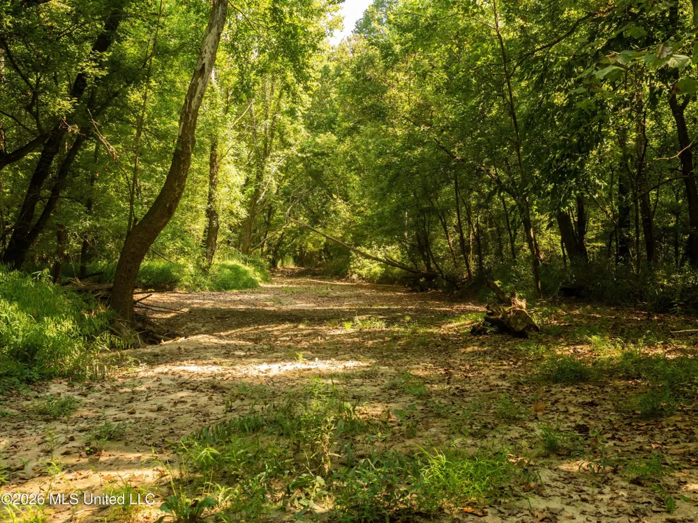 00 Philips Road Cruger, MS 38924
