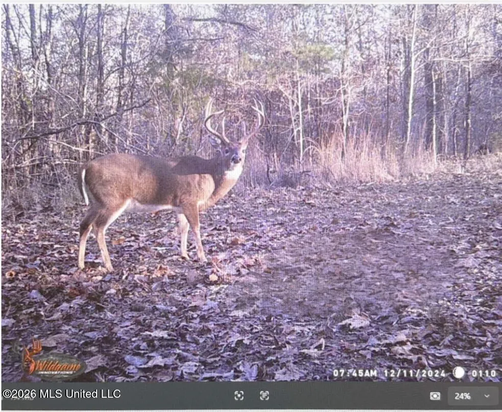 00 Philips Road Cruger, MS 38924