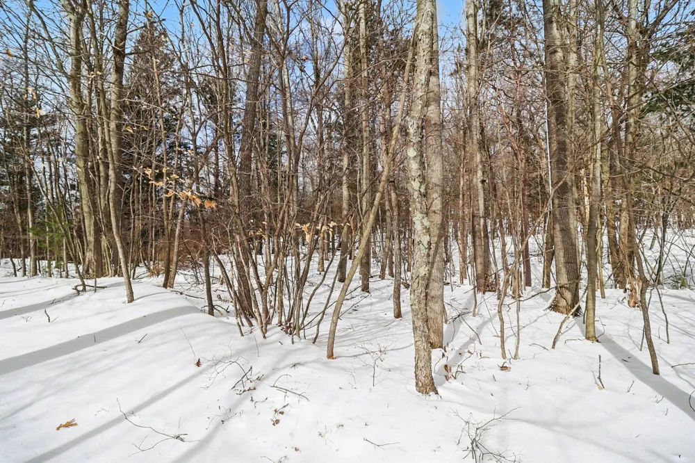11 Silver Ridge Road Mears, MI 49436