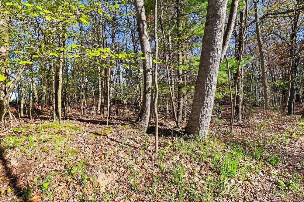 11 Silver Ridge Road Mears, MI 49436