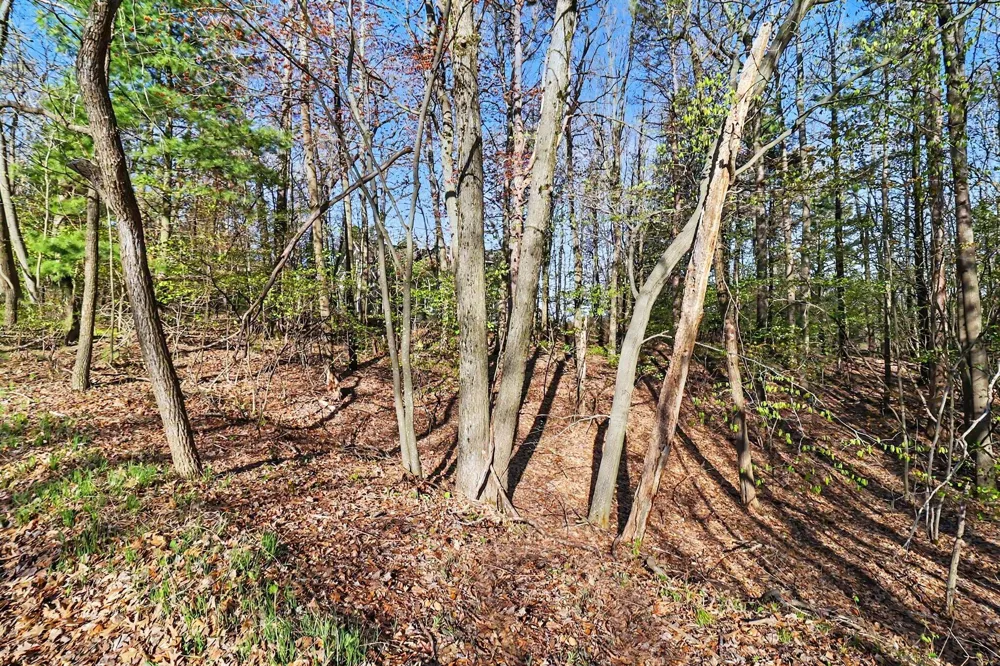 11 Silver Ridge Road Mears, MI 49436