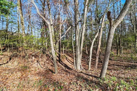 11 Silver Ridge Road