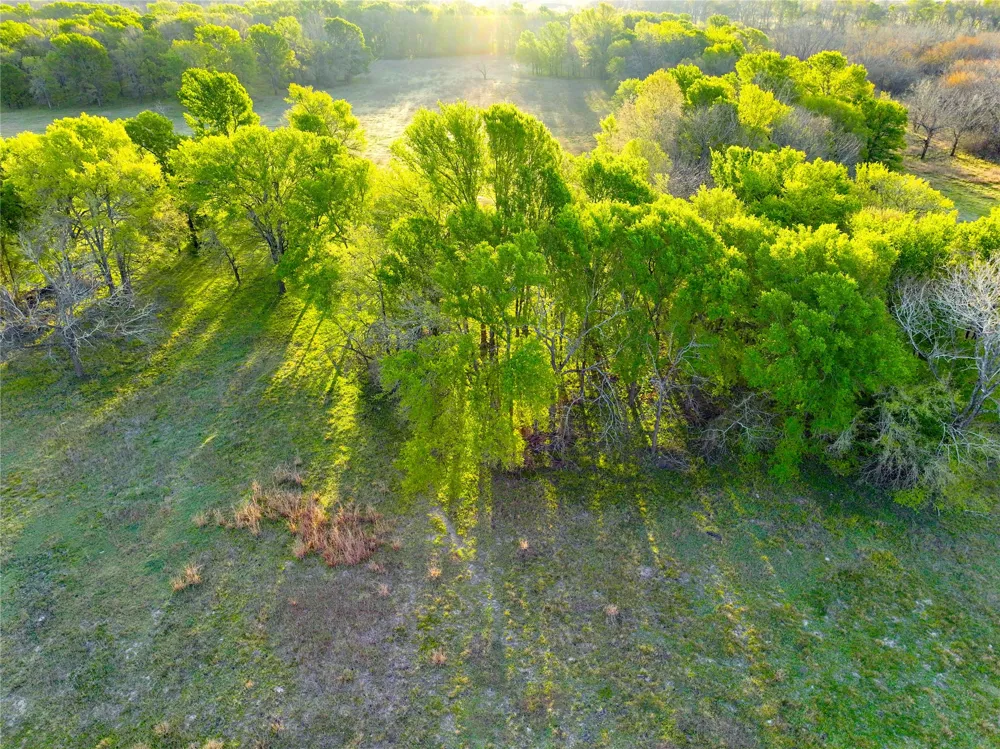 tbd C.R. 386 Marquez, TX 77865