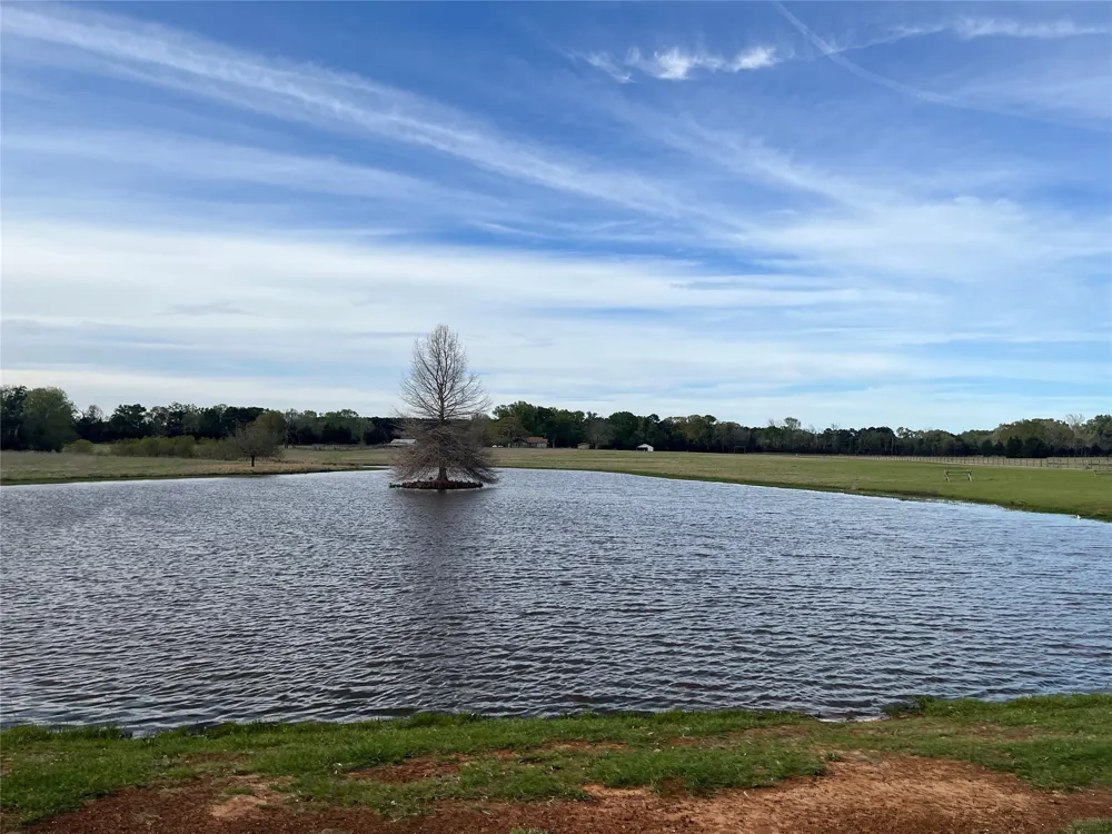 542 CR 4716 Troup, TX 75789