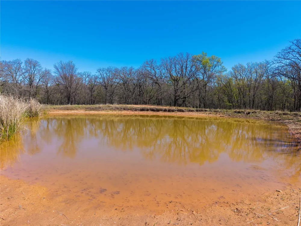 209 CR 464 De Leon, TX 76444