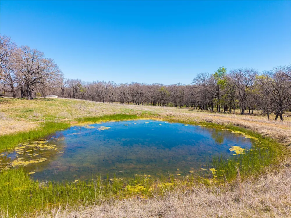 209 CR 464 De Leon, TX 76444