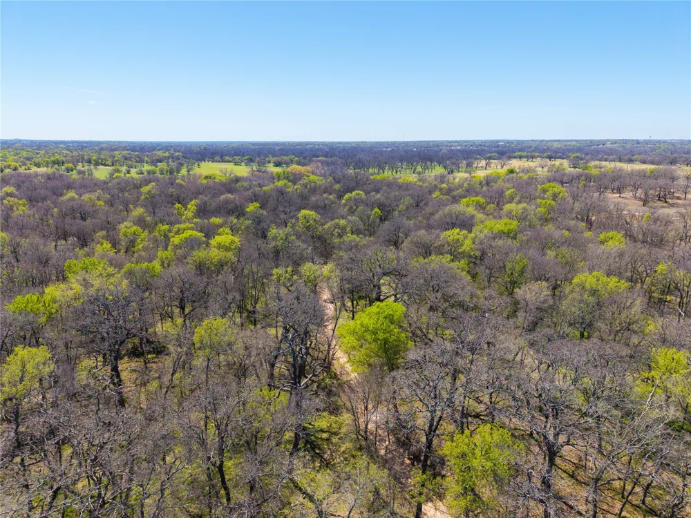 209 CR 464 De Leon, TX 76444