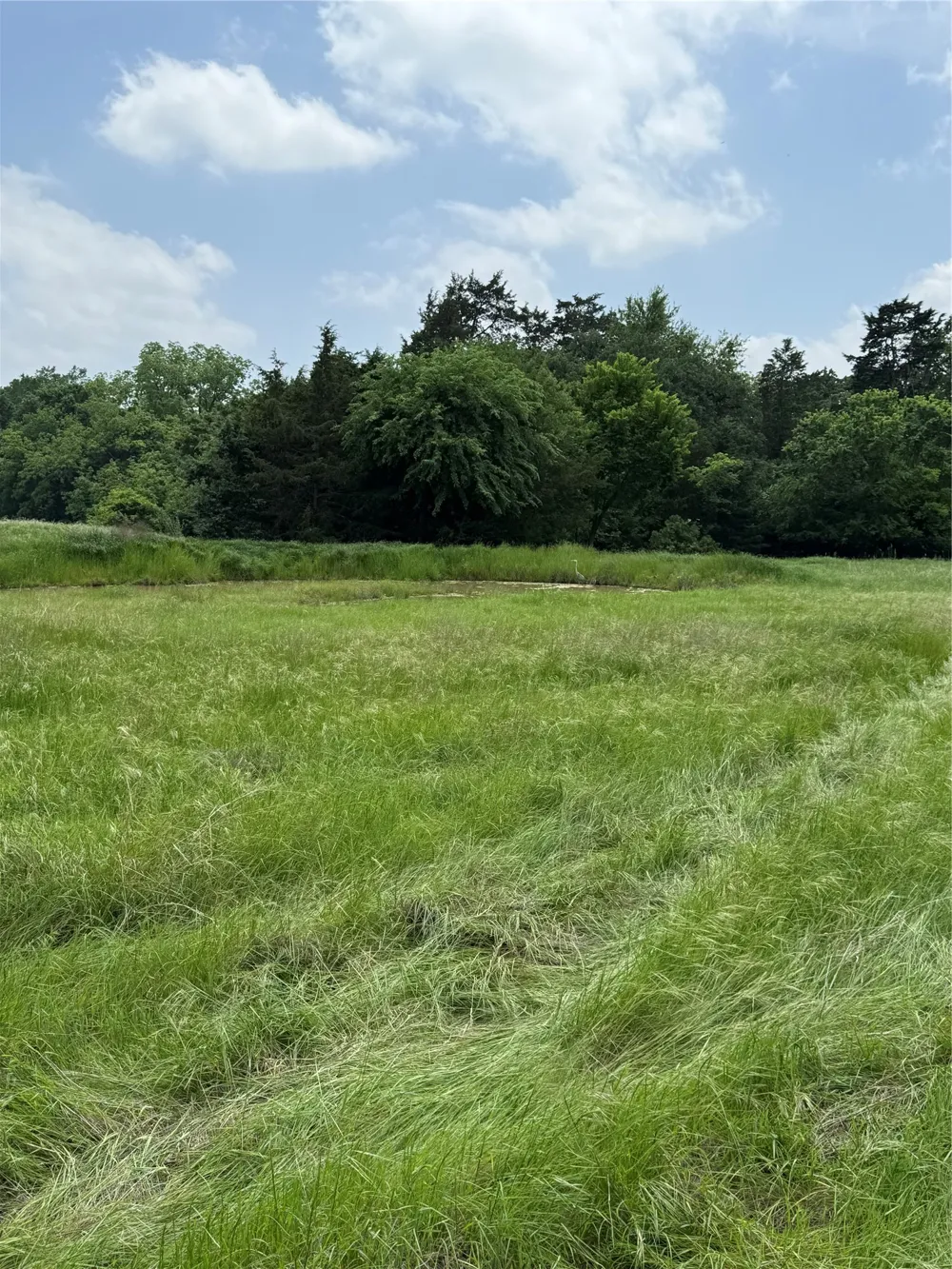 Fm 730 Decatur, TX 76234