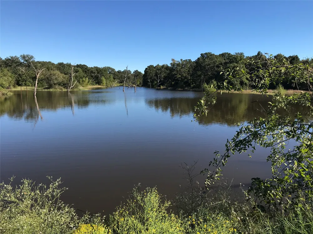 Cr-1990 Chico, TX 76431
