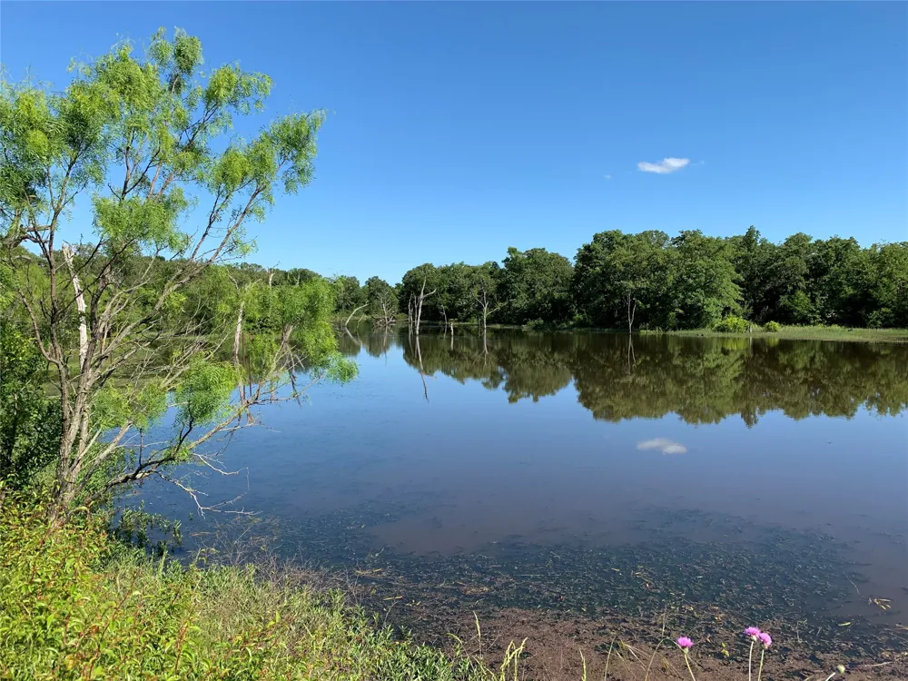 Cr-1990 Chico, TX 76431